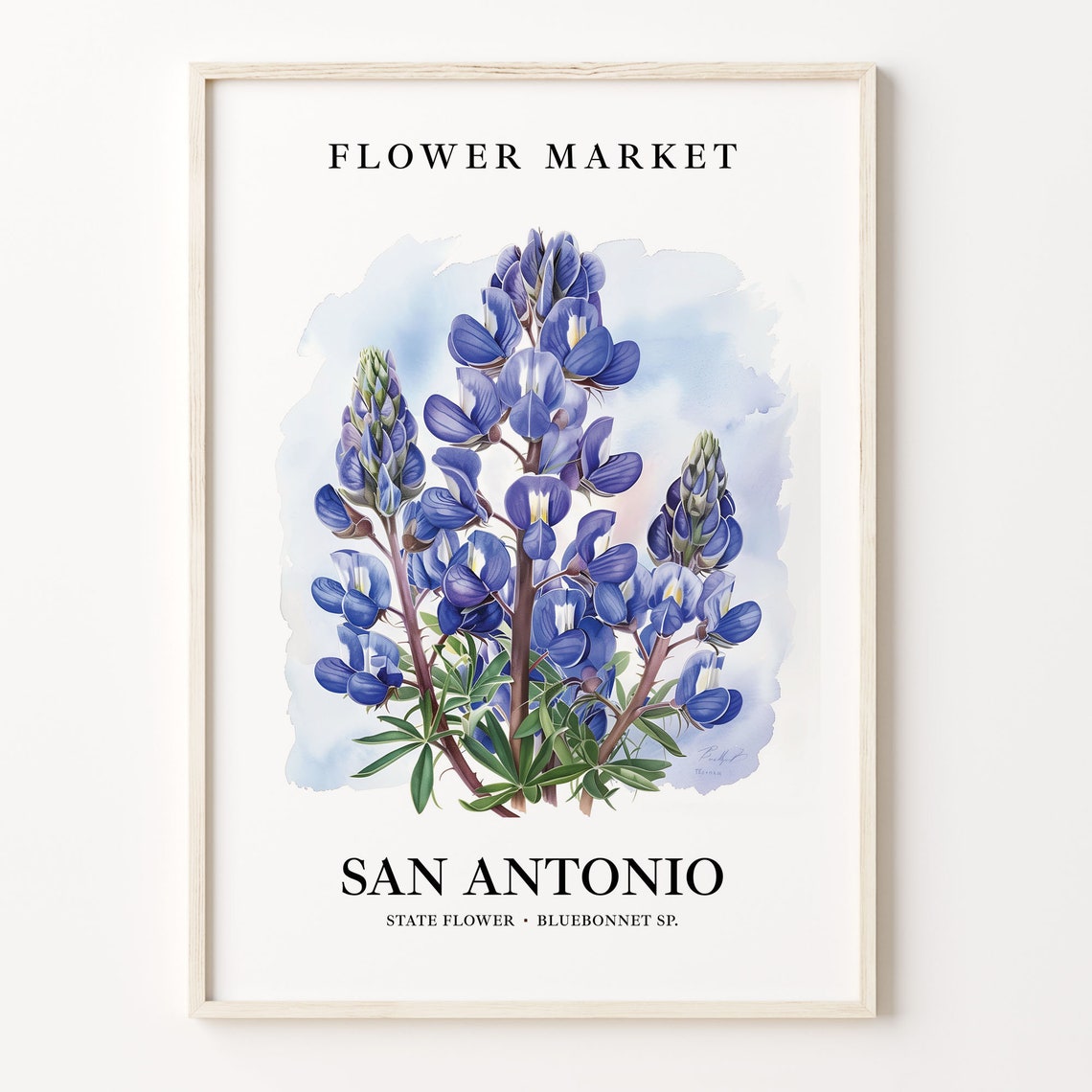 San Antonio Texas Bluebonnet Botanical Market Stunning Garden Poster