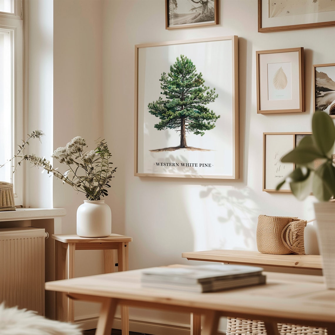 Western White Pine Tree Watercolor Botanical Wall Decor Poster - Image 2