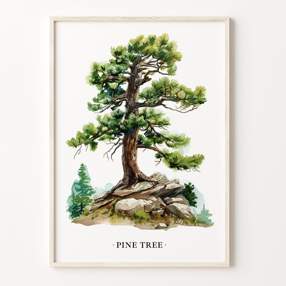 Pine Tree Nature Poster, Woodland Decor Art Print