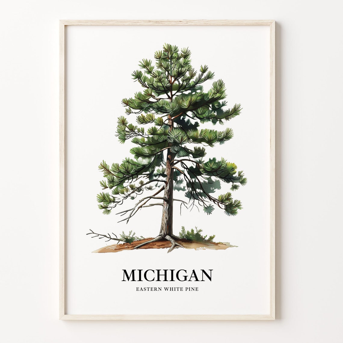 Michigan Eastern White Pine State Tree Northwoods Botanical Art Poster