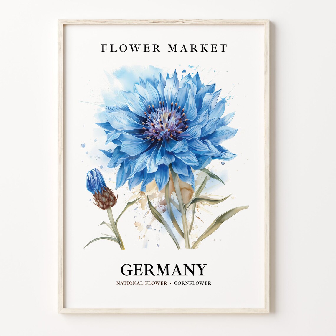 Germany Cornflower Botanical Art Print, Neutral Pastel