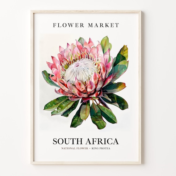 King Protea Art Print, Neutral Botanical Wall Art