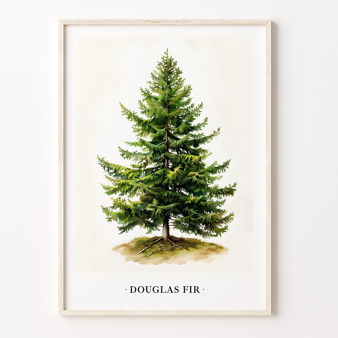 Douglas Fir Tree Watercolor Evergreen Botanical Wall Decor Poster