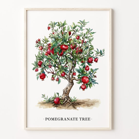 Pomegranate Tree Botanical Art Print, Kitchen Decor