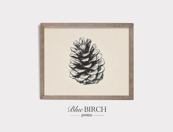 Vintage Pinecone Sketch Art Print Minimalist Winter Wall Rustic Nature Illustration Neutral Botanical Farmhouse Decor 391