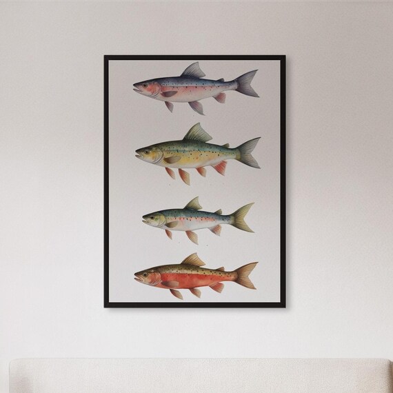 Framed Vintage Fish Wall Art Print Scientific Nature Illustration Poster Aquatic Animal Decor Gift For Fisherman Or Coastal Cottage Style