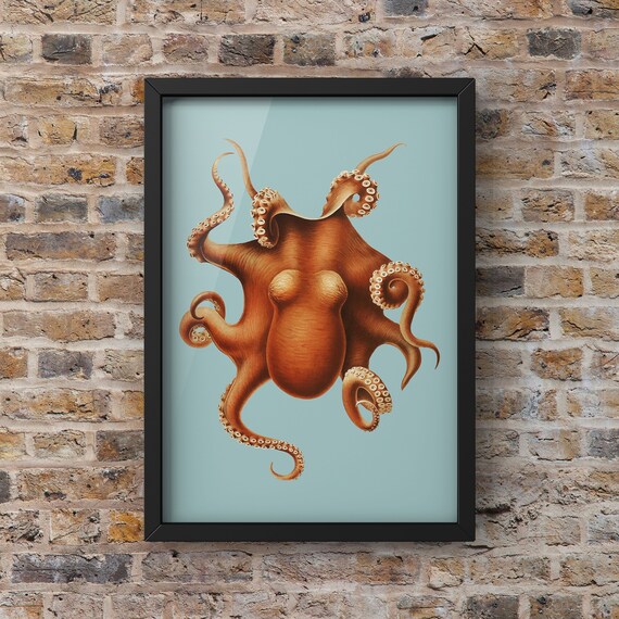 The Vintage Kraken In Colour Antique Octopus Print Quirky Decor