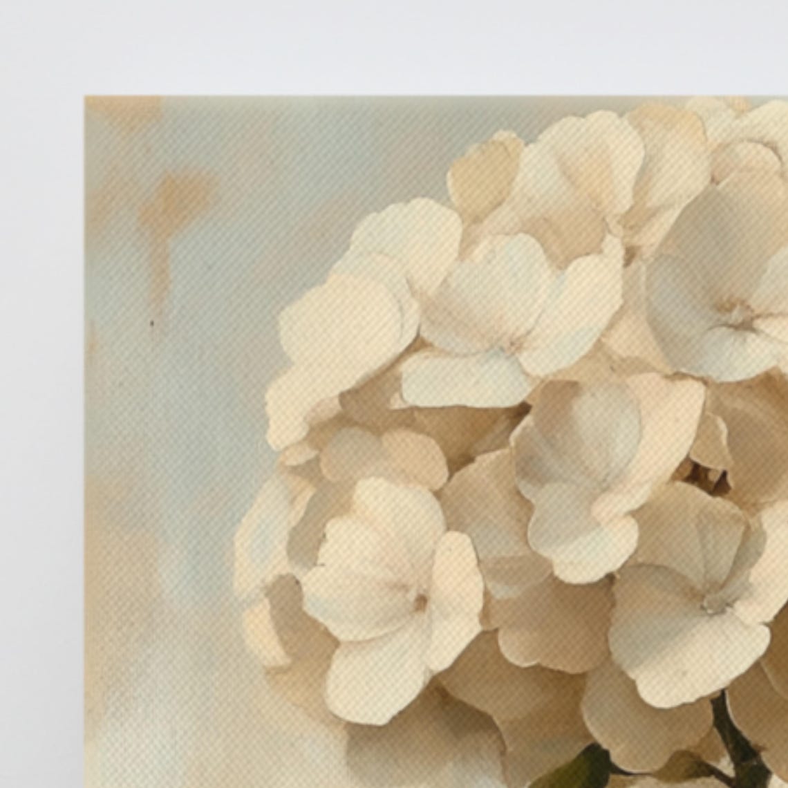Cream White Hydrangea Bloom Vintage Botanical Illustration Poster - Image 3