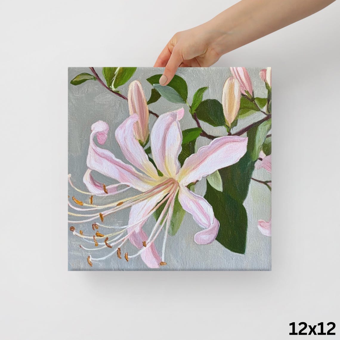 Pink Honeysuckle Blooming Vine Delicate Botanical Flower Poster - Image 2