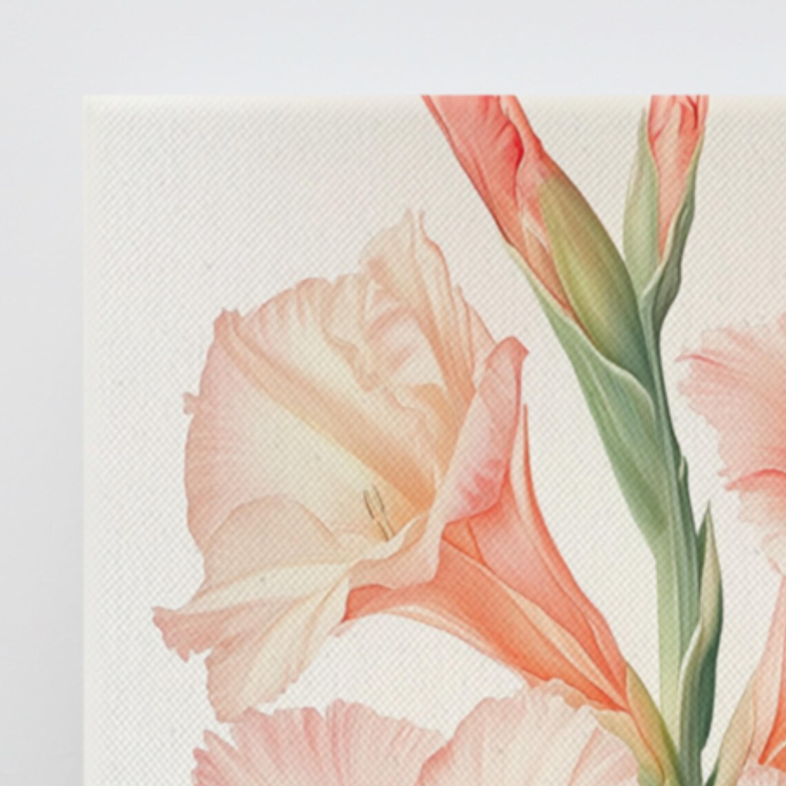 Peach Coral Gladiolus Blooms Cream Botanical Illustration Art Poster - Image 3
