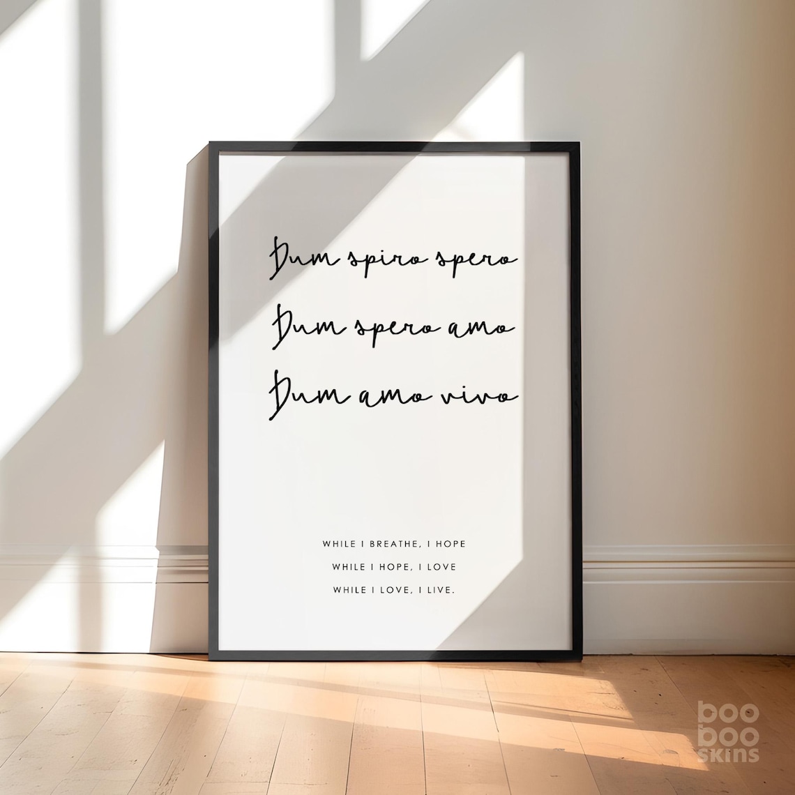 Dum Spiro Spero Scandi Latin Quote Art Print