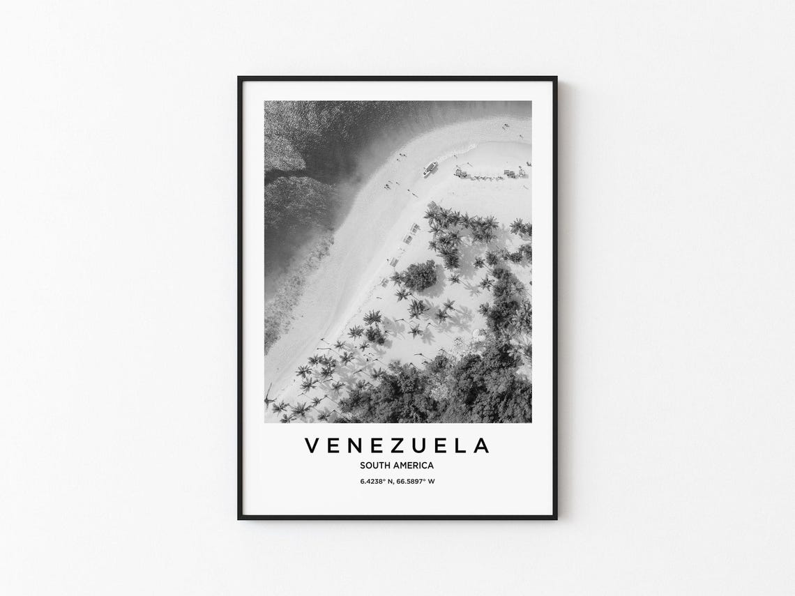 Venezuela Aerial Beach Palm Trees Black and White Coastal Poster