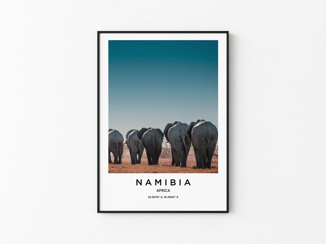 Namibia African Elephants Herd Dusty Savannah Horizon Poster