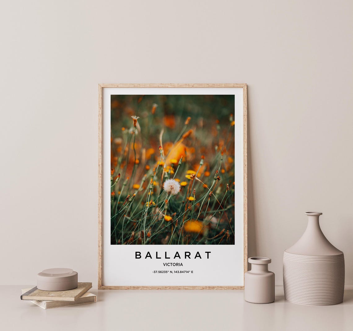 Ballarat Victoria Wildflower Meadow Macro Seed Head Photo Poster - Image 2
