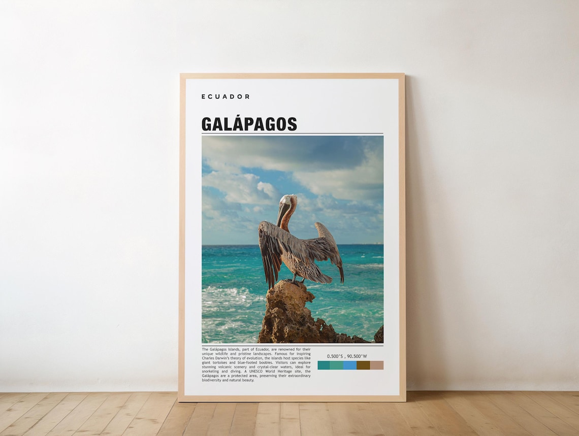Galapagos Ecuador Pelican Ocean Wildlife Photo Travel Poster