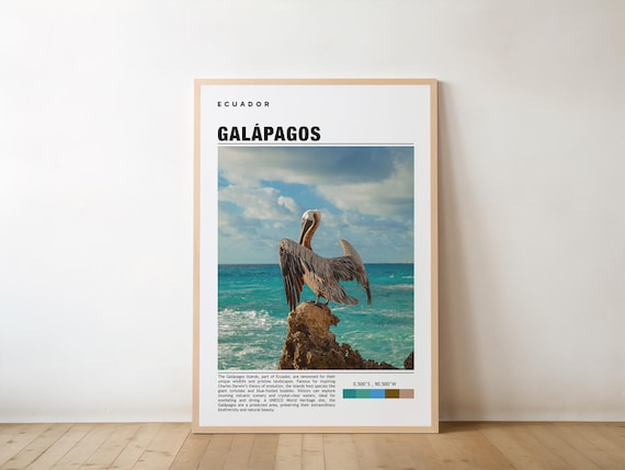 Galapagos Ecuador Pelican Ocean Wildlife Photo Travel Poster