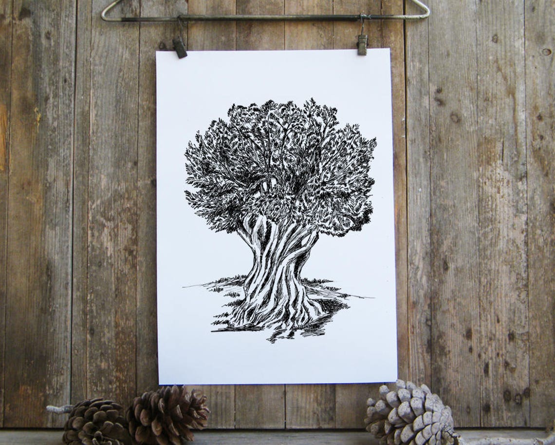 Olive Tree Ink Drawing Black and White Mediterranean Botanical Poster - Image 3