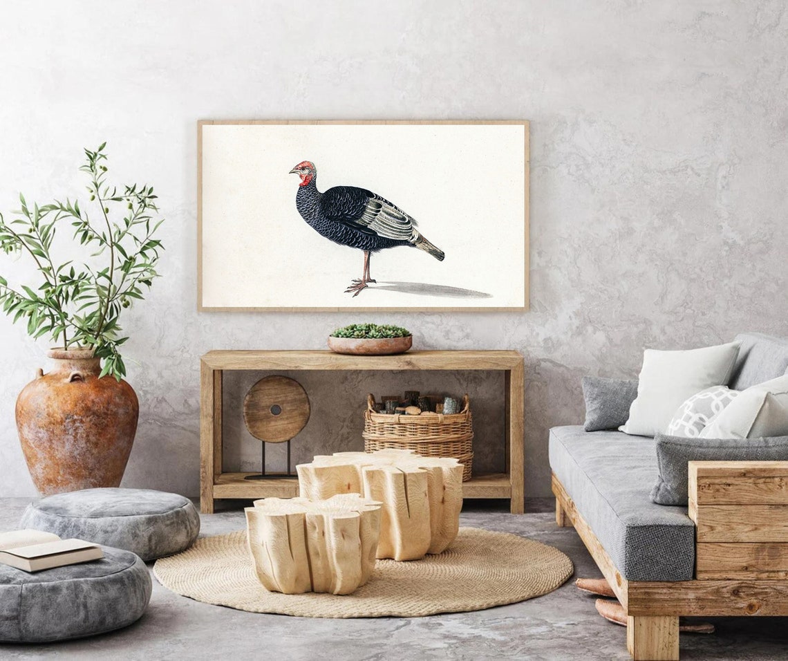 Vintage Turkey Illustration Thanksgiving Fall Farmhouse Art Poster - Image 2