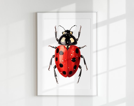 Ladybug Botanical Guide Bug Poster
