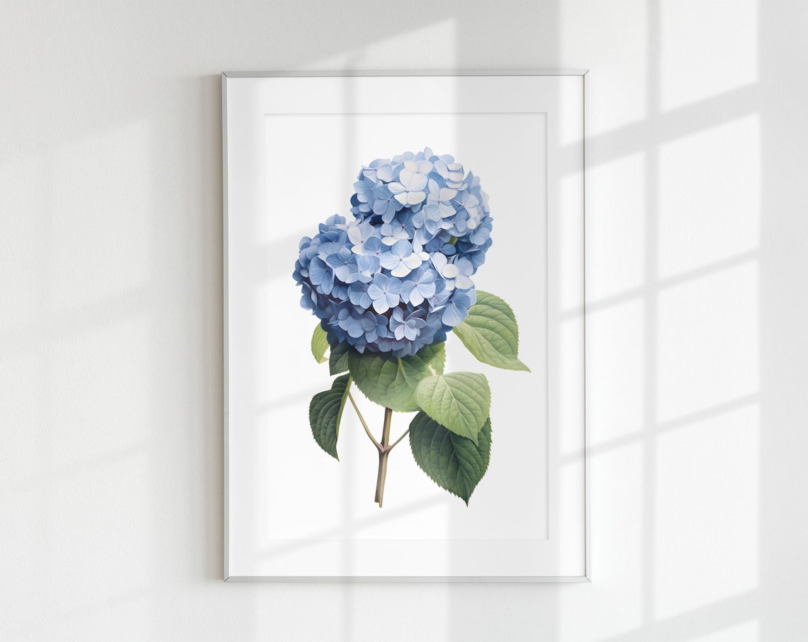 Hydrangea Wall Art Vintage Poster