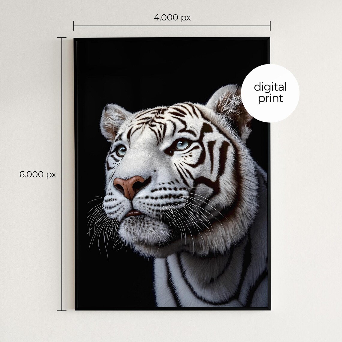 White Bengal Tiger Close Up Black Background Dramatic Animal Print - Image 2