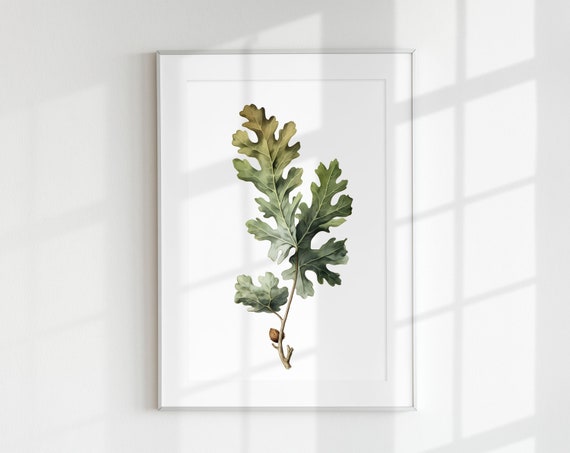 Oak Botanical Floral Vintage Poster