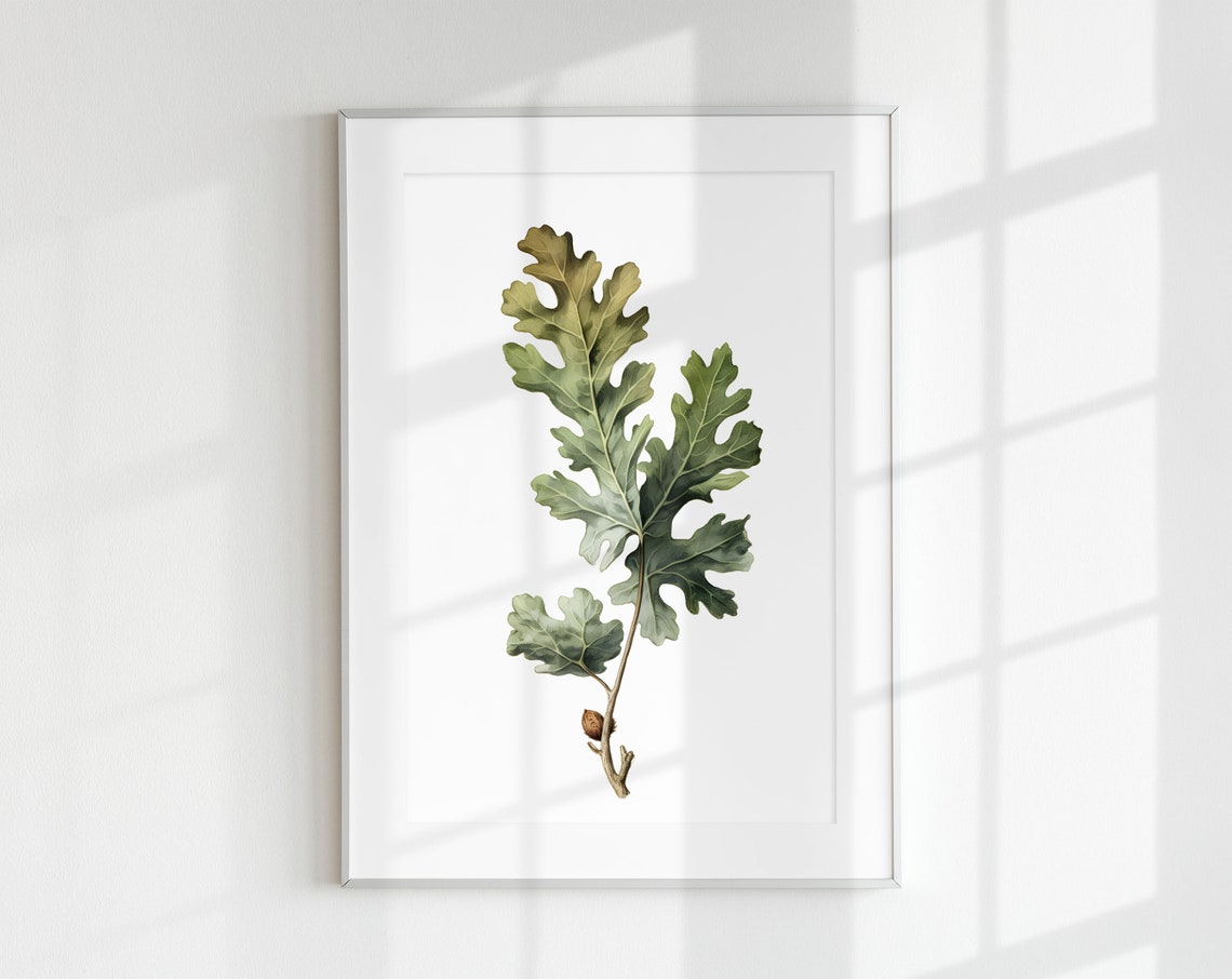 Oak Botanical Floral Vintage Poster