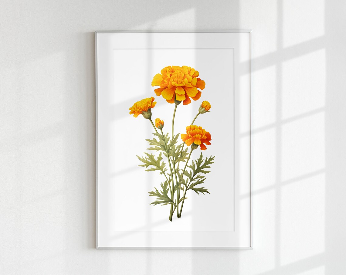 Marigold Botanical Poster, Minimal Yellow Flower Print