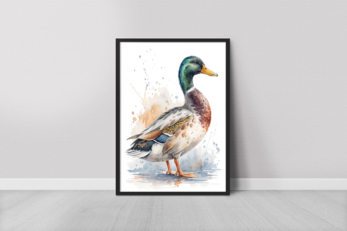 Mallard Duck Watercolor Bird Painting Standing Drake Art Print
