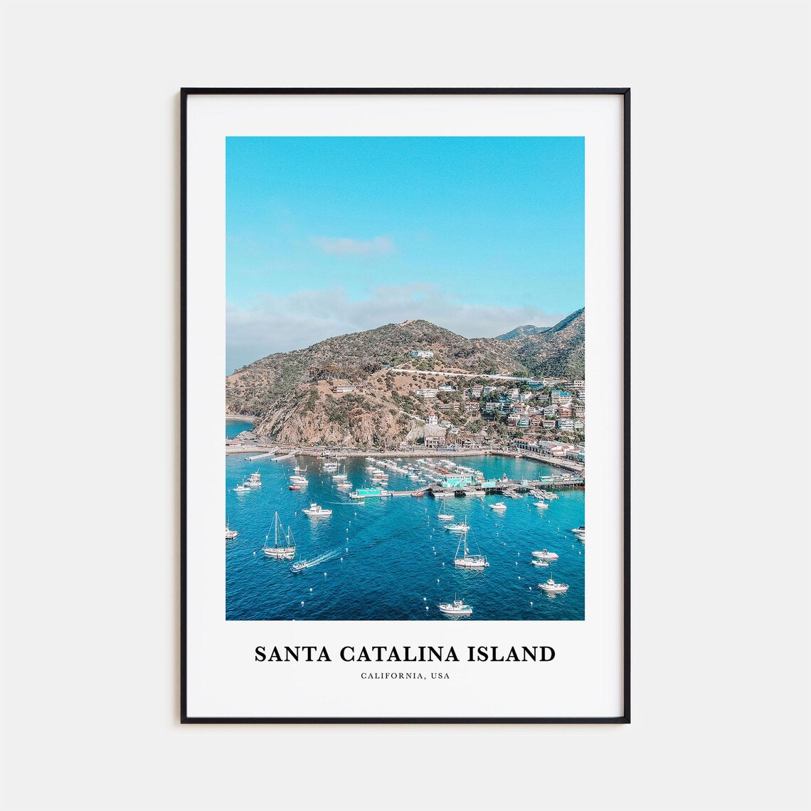 Santa Catalina Island Travel Poster, California USA