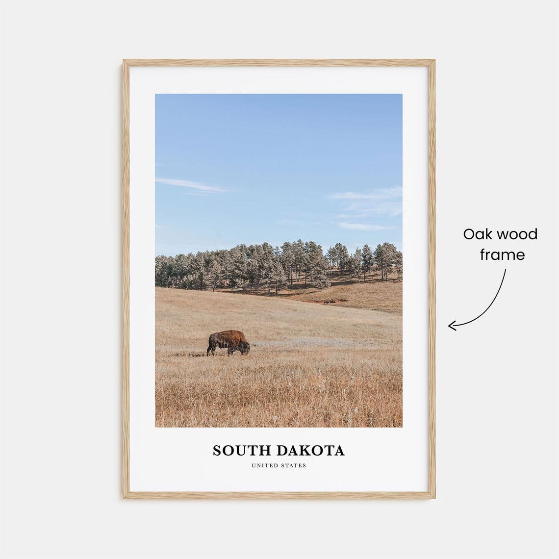 South Dakota Bison Grazing Golden Prairie Landscape Travel Poster - Image 3