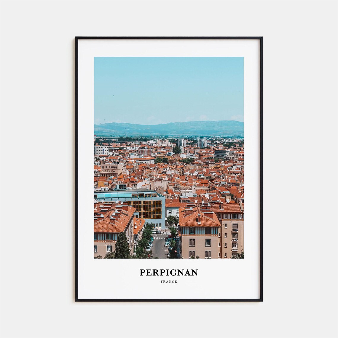 Perpignan France Rooftops Mountain View City Panorama Photo Poster