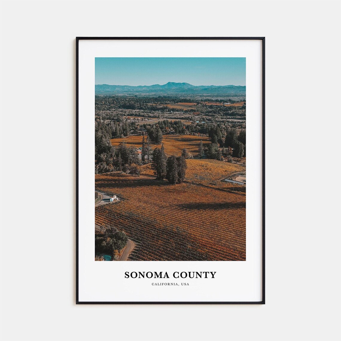 Golden Autumn Vineyards of Sonoma County California from Above Poster