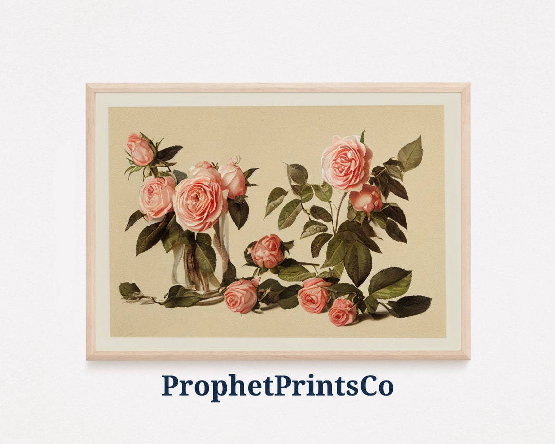 Vintage Blush Rose Sprays Romantic Botanical Illustration Poster