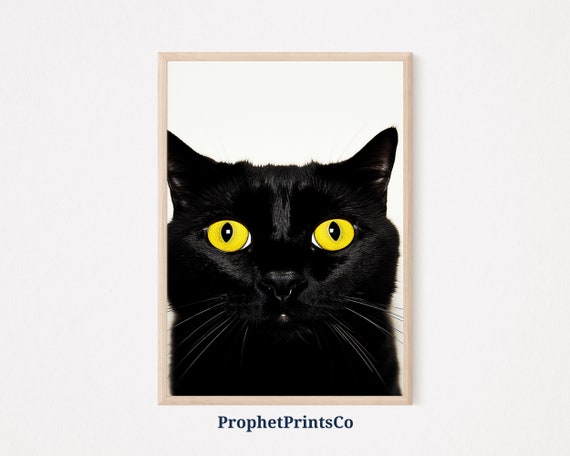 Funny Black Cat Print Cat Poster Funny Cat Art Cat Illustration Fine Art Unique Cats Print Wall Art