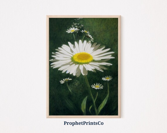 Giant White Daisy Bloom With Buds on Dark Green Background Art Poster
