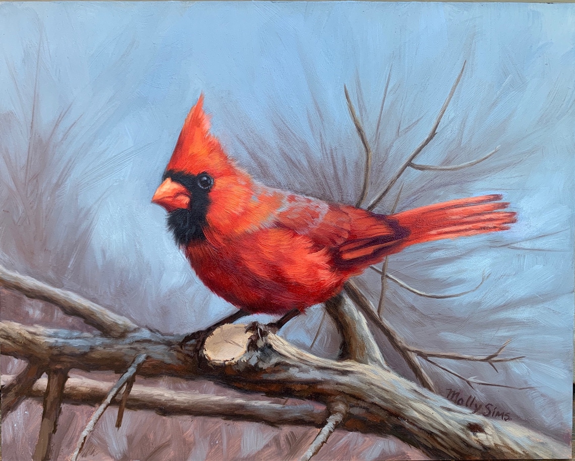 Red Male Cardinal On Winter Branch Bird Portrait Painting Poster