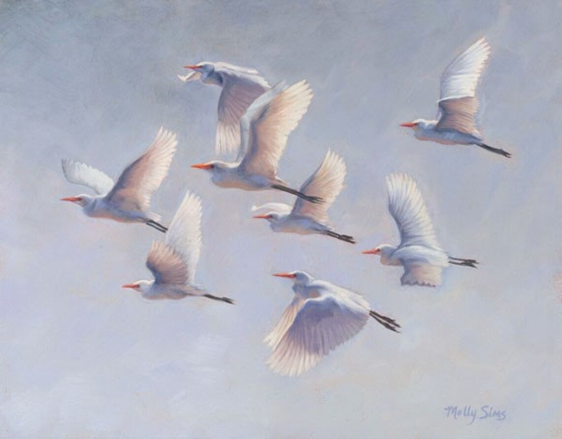 Flock of White Egrets Flying in the Sky Oil Painting Bird Poster
