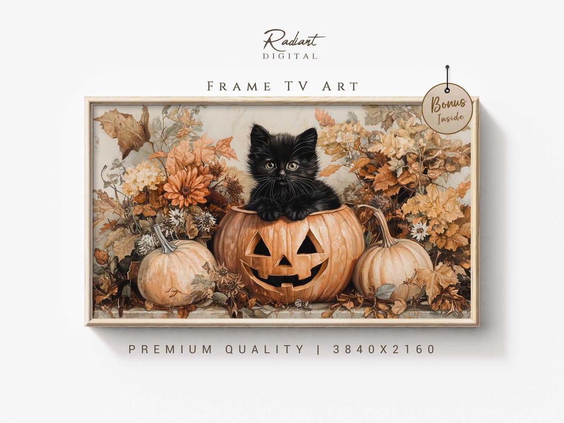 Black Cat In Jack O Lantern Halloween Pumpkin Patch Wall Art