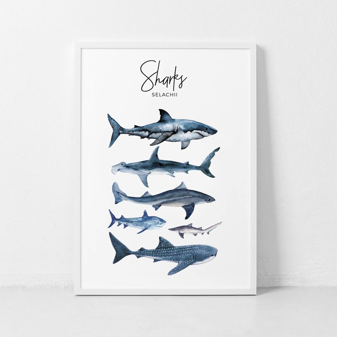 Shark Species Watercolor Poster, Kids Room Decor