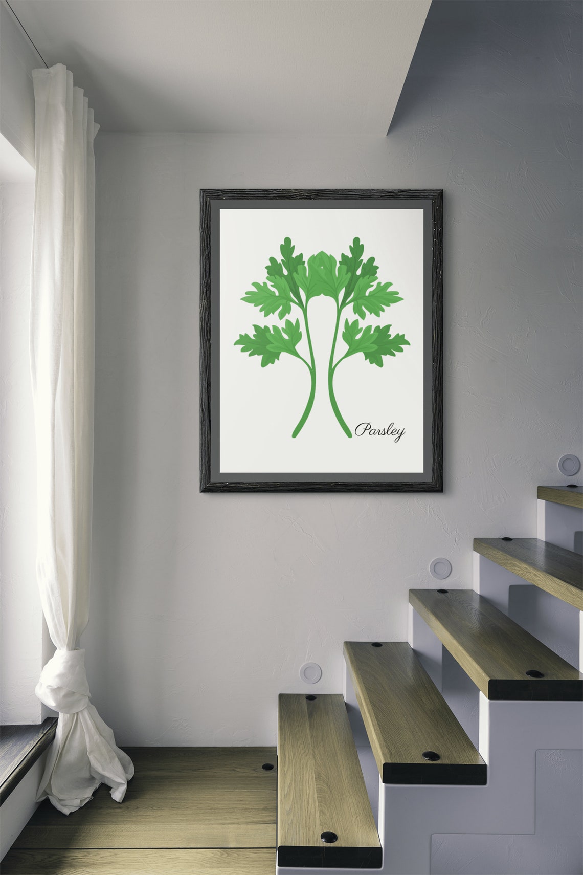 Parsley Botanical Herb Kitchen Green Illustration Modern Wall Poster