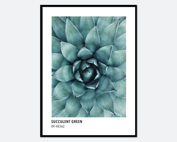 Succulent Green Botanical Art Print, Modern Poster