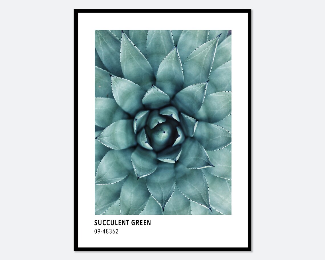 Succulent Green Botanical Art Print, Modern Poster