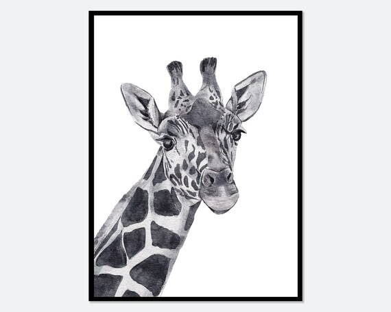 Watercolor Giraffe Black and White Safari Nursery Animal Poster