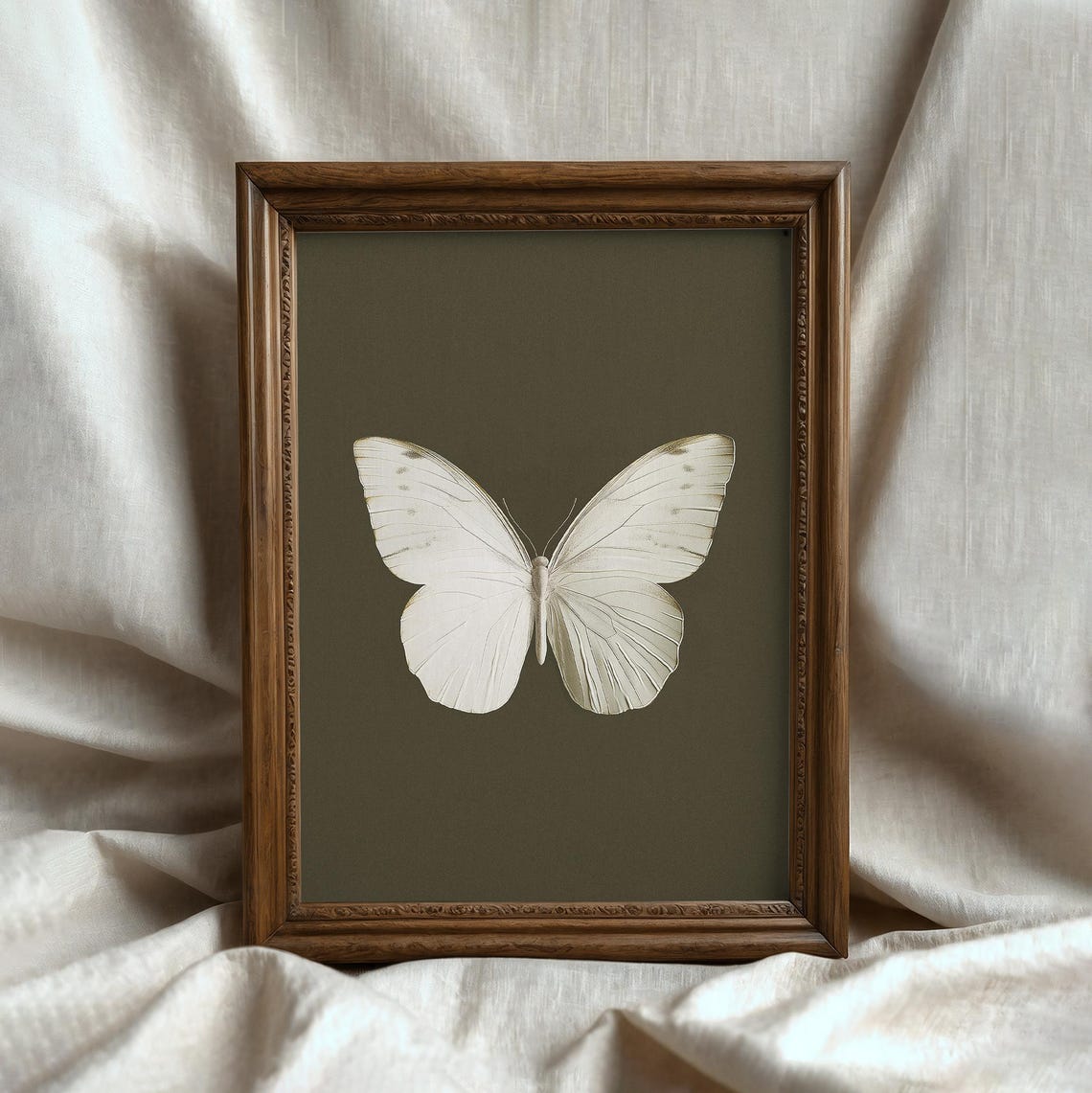 White Butterfly On Dark Background Vintage Specimen Study Poster - Image 4