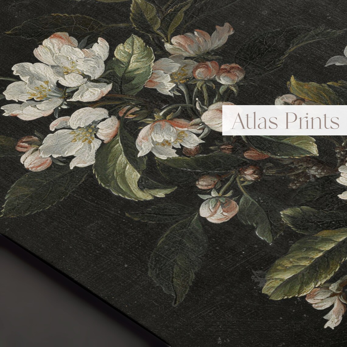 Dark Floral Apple Blossom Black Background Moody Botanical Poster - Image 3