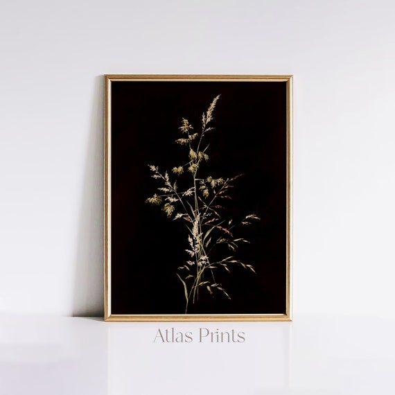 Dark Botanical Print Dark Academia Wall Decor Moody Floral Antique Wall Art Dark Farmhouse Dcor