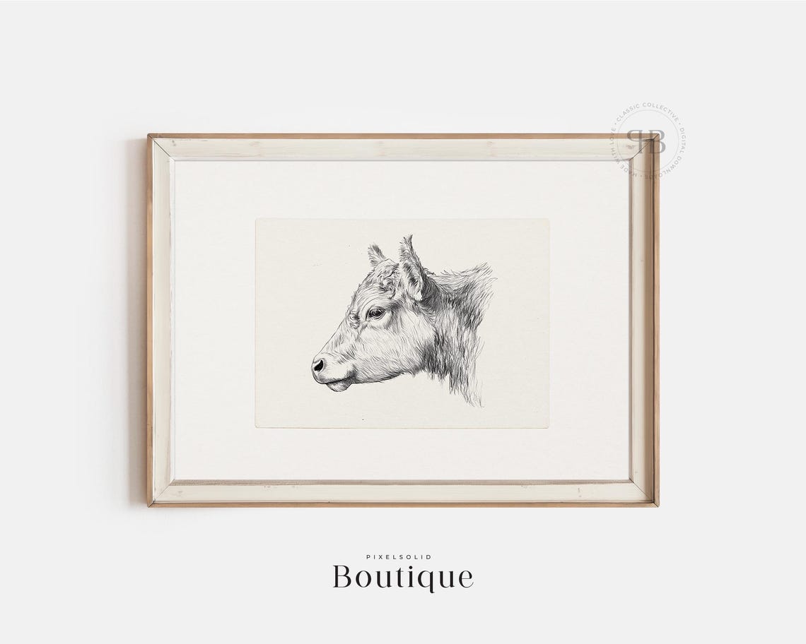 Cow Head Black and White Vintage Farm Animal Pencil Sketch Poster