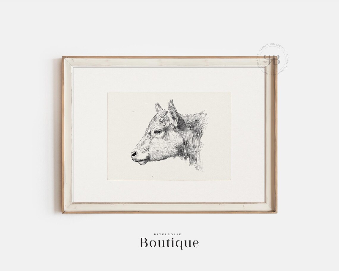 Cow Illustration Print Black And White Farm Animal Wall Art Rustic Kitchen Decor Cattle Drawing Vintage Style No687