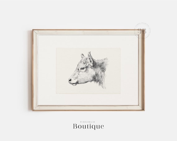 Cow Illustration Print Black And White Farm Animal Wall Art Rustic Kitchen Decor Cattle Drawing Vintage Style No687